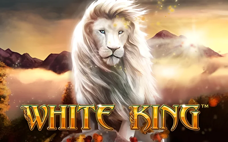 Botao voltar apk