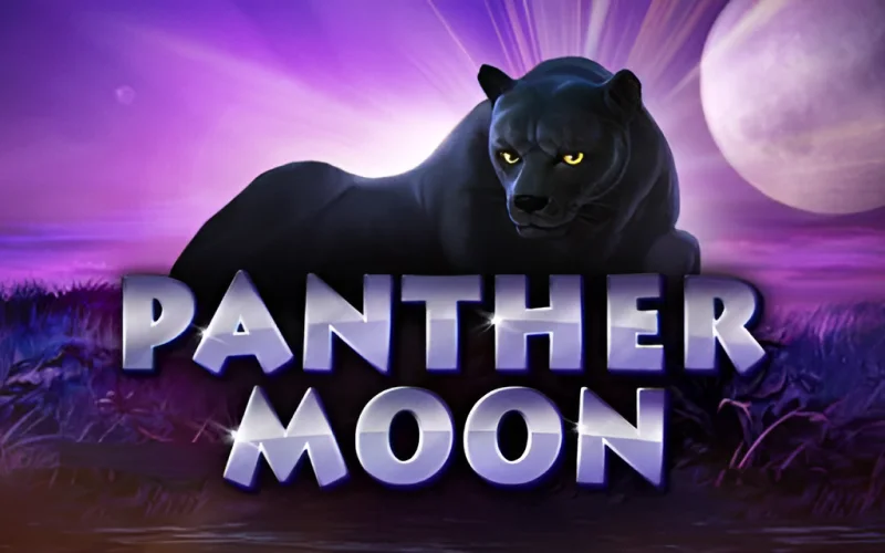 Mega filme 50